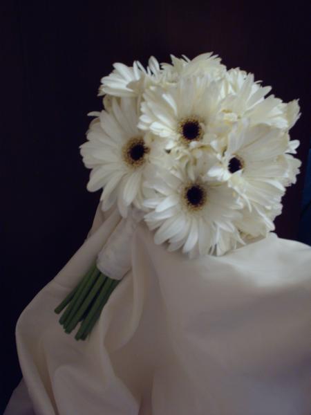 White Gerber Daisy Brides Bouquet