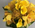 Stand out on your big day with this brides bouquet filled with Yellow calla lillys, yellow protea pincushions, and yellow cymbidium orchids.