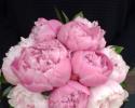 Pink Peony Bouquet