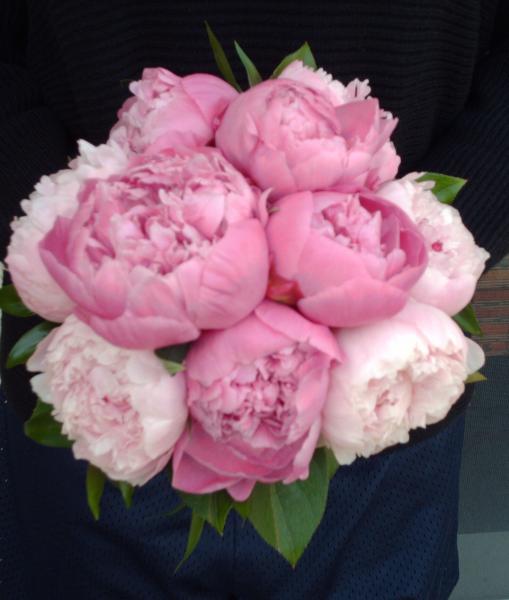 Pink Peony Bouquet