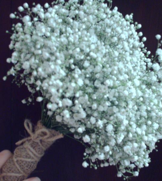 Baby's Breath Bridesmaid Bouquet