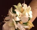 Gold and White Wrist Corsage